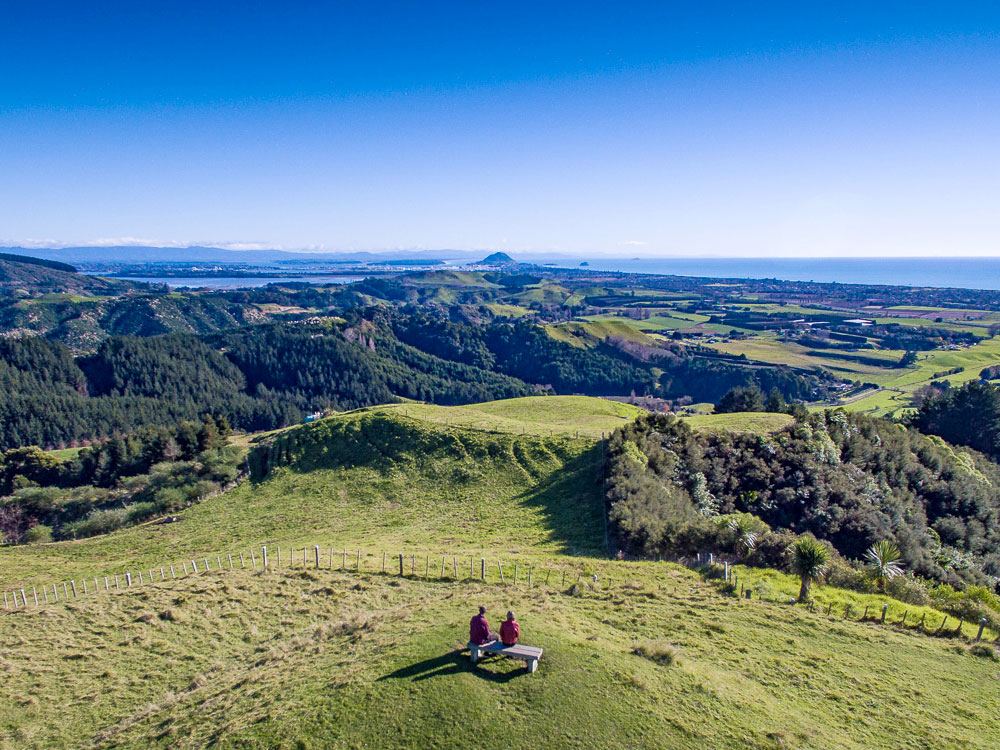 10 Easy Outdoor Hobbies to Try in New Zealand This Summer