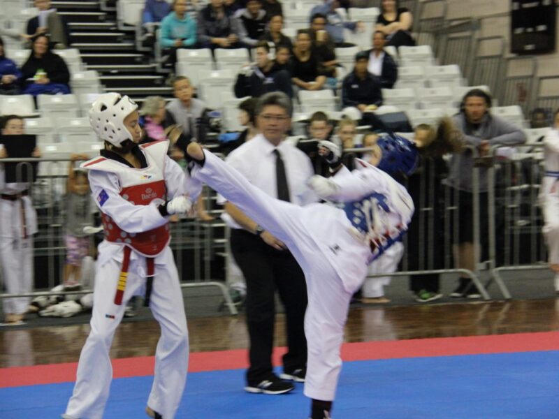 Budo South Martial Arts