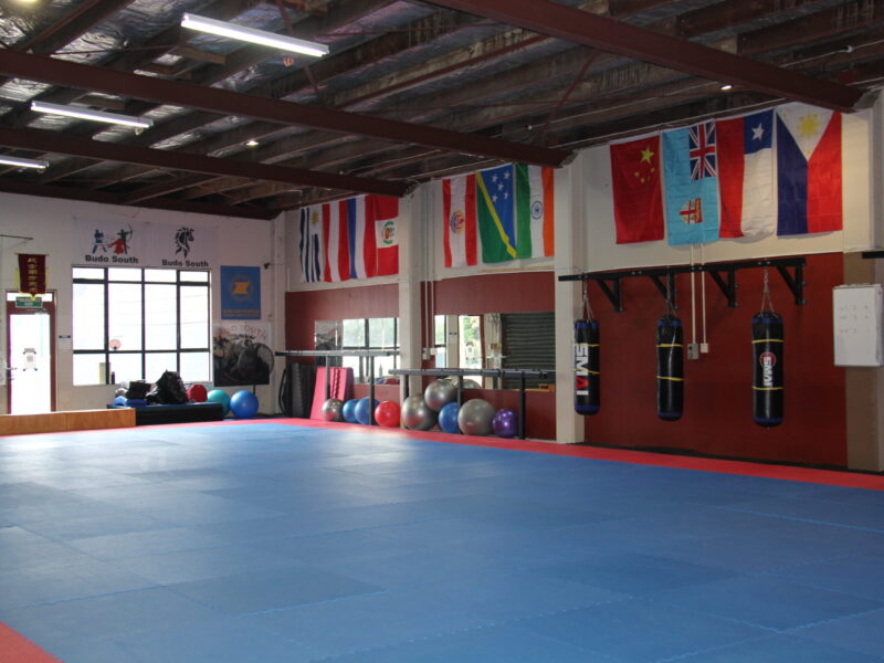Budo South Martial Arts