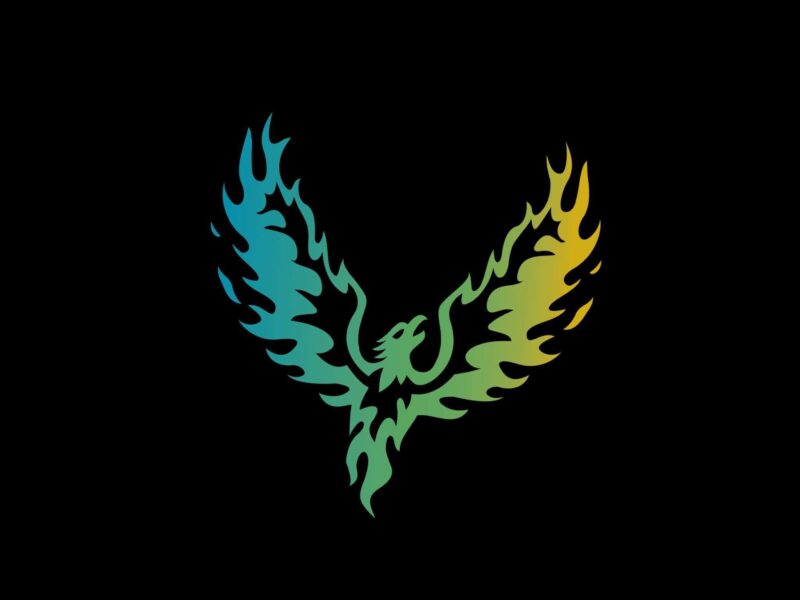 Western Bay Phoenix Volleyball Club