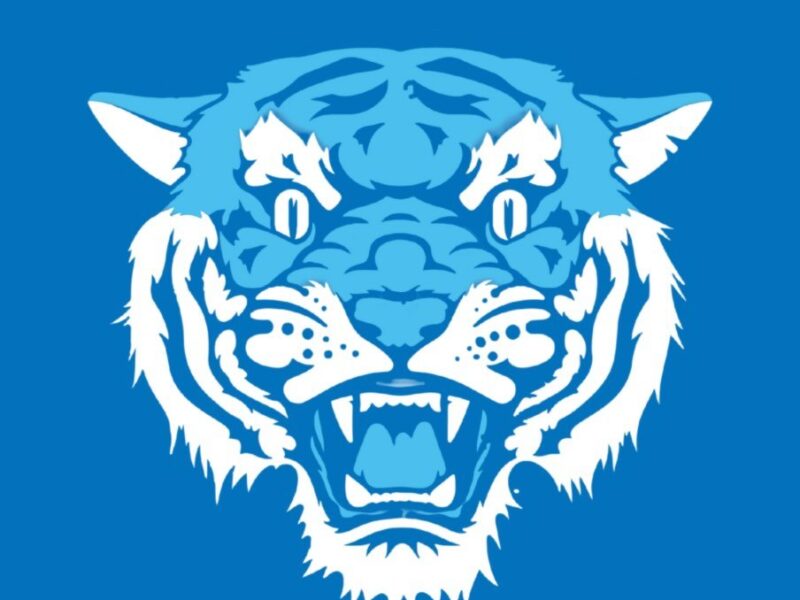Tauranga Tigers (club teams)