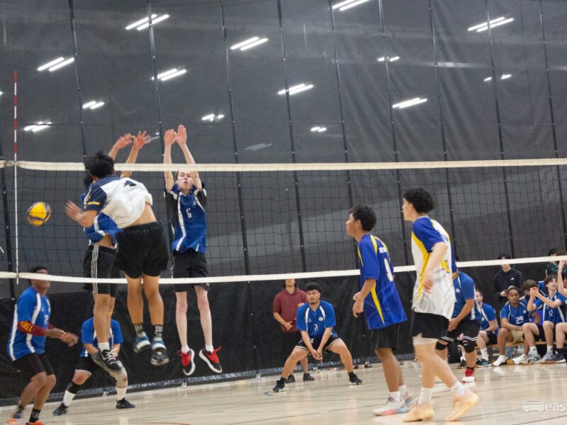 Volleyball Tauranga