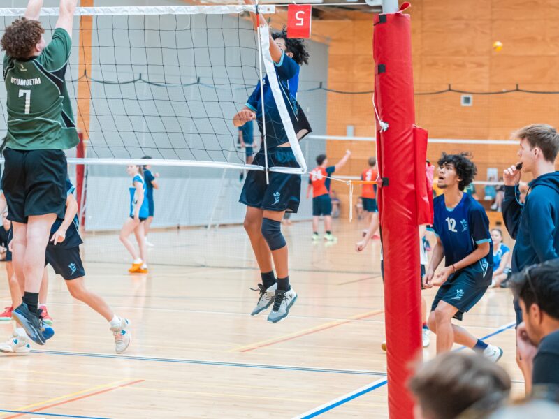 Volleyball BOP