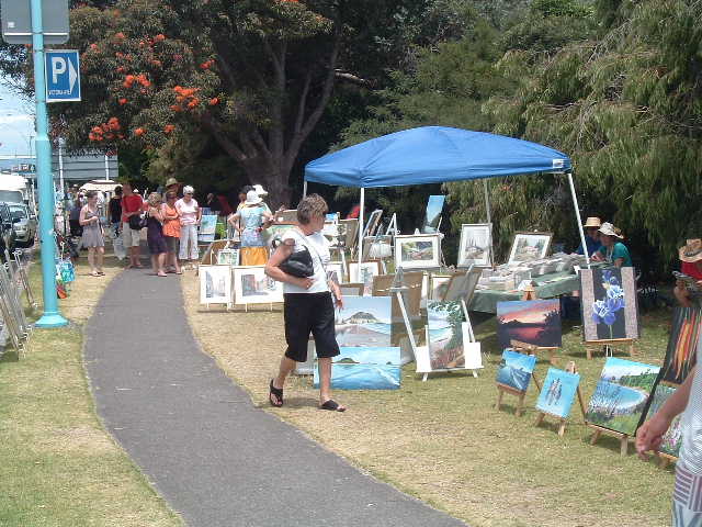 Tauranga Society of Artists